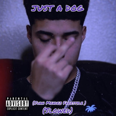 Just a dog (Juan Mendez Freestyle) (Slowed)