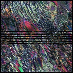 PREMIERE | Wildealer - Sawadee Krub [Boiled Wonderland] 2021