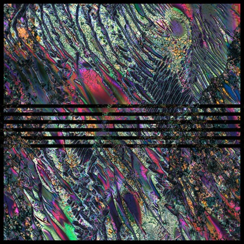 PREMIERE | Wildealer - Sawadee Krub [Boiled Wonderland] 2021