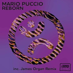Premiere: Mario Puccio - Reborn (James Organ Remix) [Intu Music]