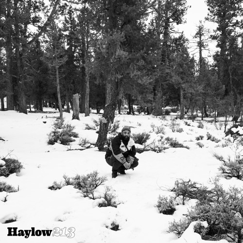 Haylow - Hip Hop Favorites of 2023 (Live Mix from Twitch)