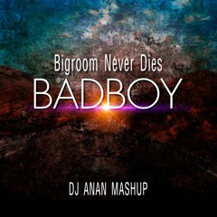 Bigroom Never Dies - Hardwell, Blasterjaxx (DJANAN BADBOY Mashup )