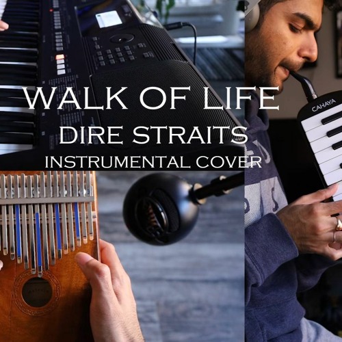 comerciante Más lejano Soplar Stream Walk of Life - Dire Straits (Instrumental Cover) by Kartik Deshpande  | Listen online for free on SoundCloud