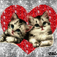 Tell Me (prod. eternall)