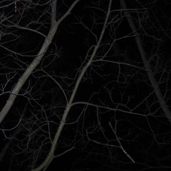 THE DAY THE EARTH STOOD STILL INSTRUMENTAL W/ dom x