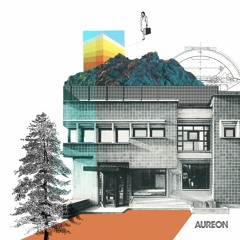 PREMIERE: Michele K - Sacred Marriage (Tribu Oro Remix) [Aureon  Records]