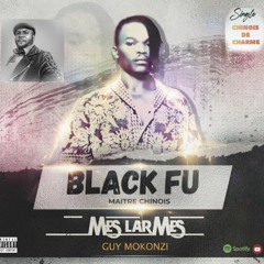 Black Fu. Guy Mokonzi.mes larmes