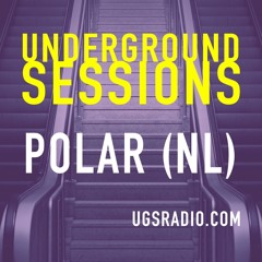 Microhertz Polar (NL) #2