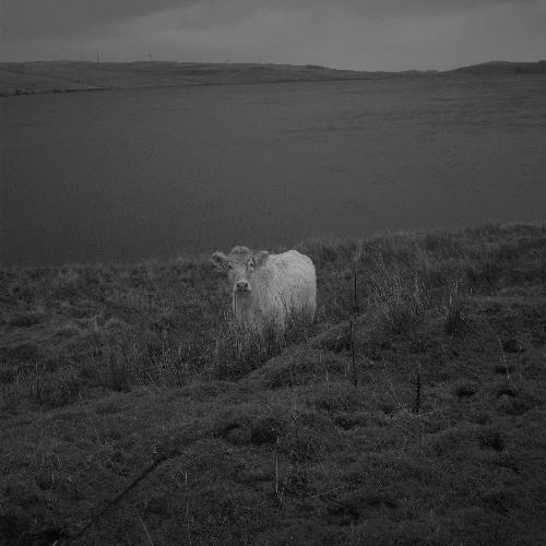 Scrolling the Scrawl