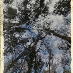 Lecho (prod drippin $oul)