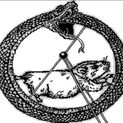 satellite of LOVE cover (Milla Jovovich Mdh Band cover)