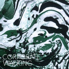 Corporate Walking - Plymo