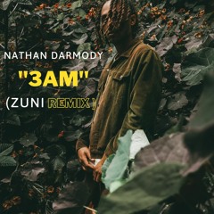 Nathan Darmody - 3AM(Zuni Remix)