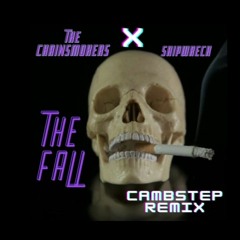 The Chainsmokers & Ship Wrek - The Fall (cambstep future house remix)