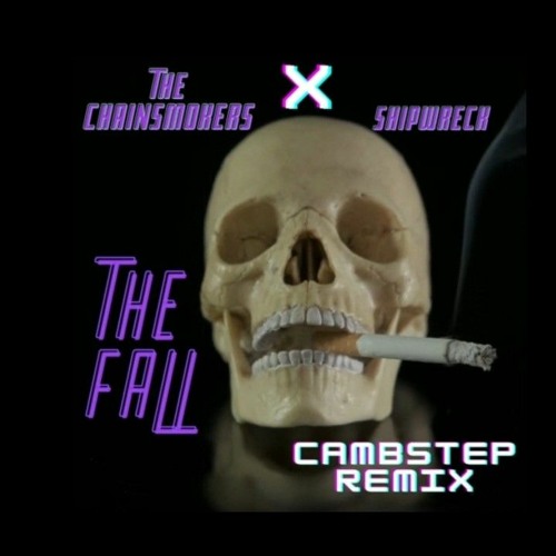 The Chainsmokers & Ship Wrek - The Fall (cambstep future house remix)