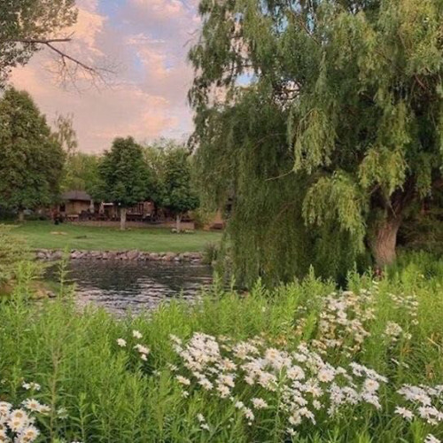 i want 100 of your time (NOT MY AUDIO)