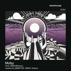 PREMIERE: Molsy - Faces (SUDOS Remix) [normtusa]