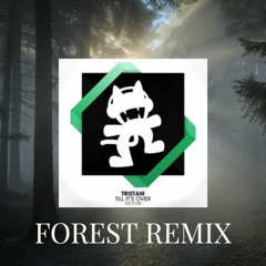 Tristam - Til' It's Over (Forest Remix)