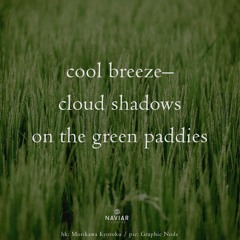Cool breeze(Naviarhaiku 572)