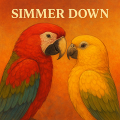 Simmer Down