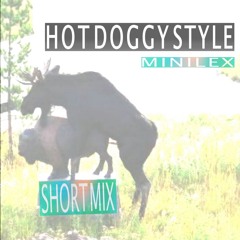 HOT DOGGY STYLE  /Bummel_Techno   [groovy background sound mix]