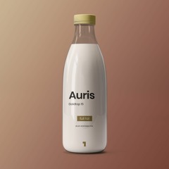 Goldtop Drum & Bass Guest Mix 15 // Auris