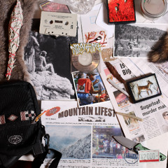 SNOW STORMIN' 95 - NugLife