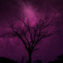 Until9(prod. Scatha)