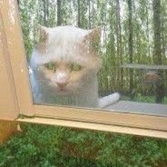 will i ever be happy w/ gvxy (chlad zimy v lete) (prod z0mbocat)