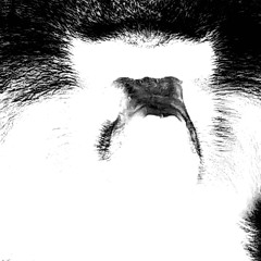 techno sample mix