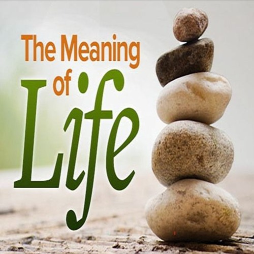 The Meaning of Life - October 20, 2024