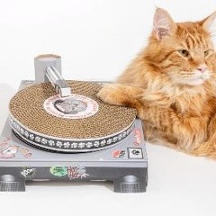 Radio Filou: Now you dance not alone