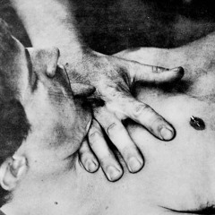 Government Experiment #3445567