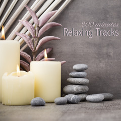 Deep Sleep - Delta Waves for Binaural Beats Sleep