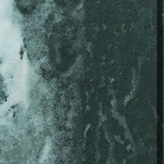 SQZ07 - Shifting Cells Va