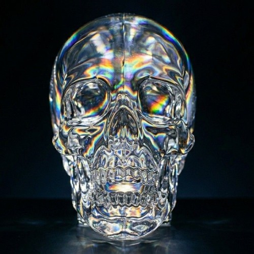 LOVV66-5IVE (Mylancore)