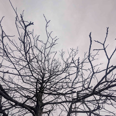 NOVEMBER - MochDaKopf & Kreiml prod. by Viciouscreep