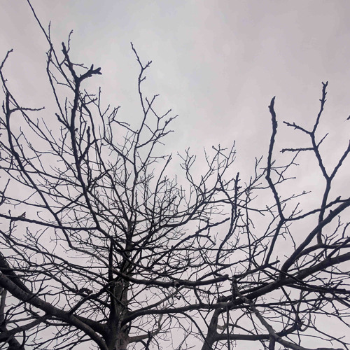 NOVEMBER - MochDaKopf & Kreiml prod. by Viciouscreep