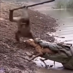 Soul Pole(prod. by DrippyLacedAnotha1)