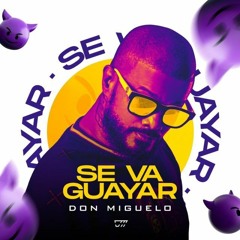DON MIGUELO - SE VA GUAYAR - DJ MIKHAELO - POPADA MASHUP-