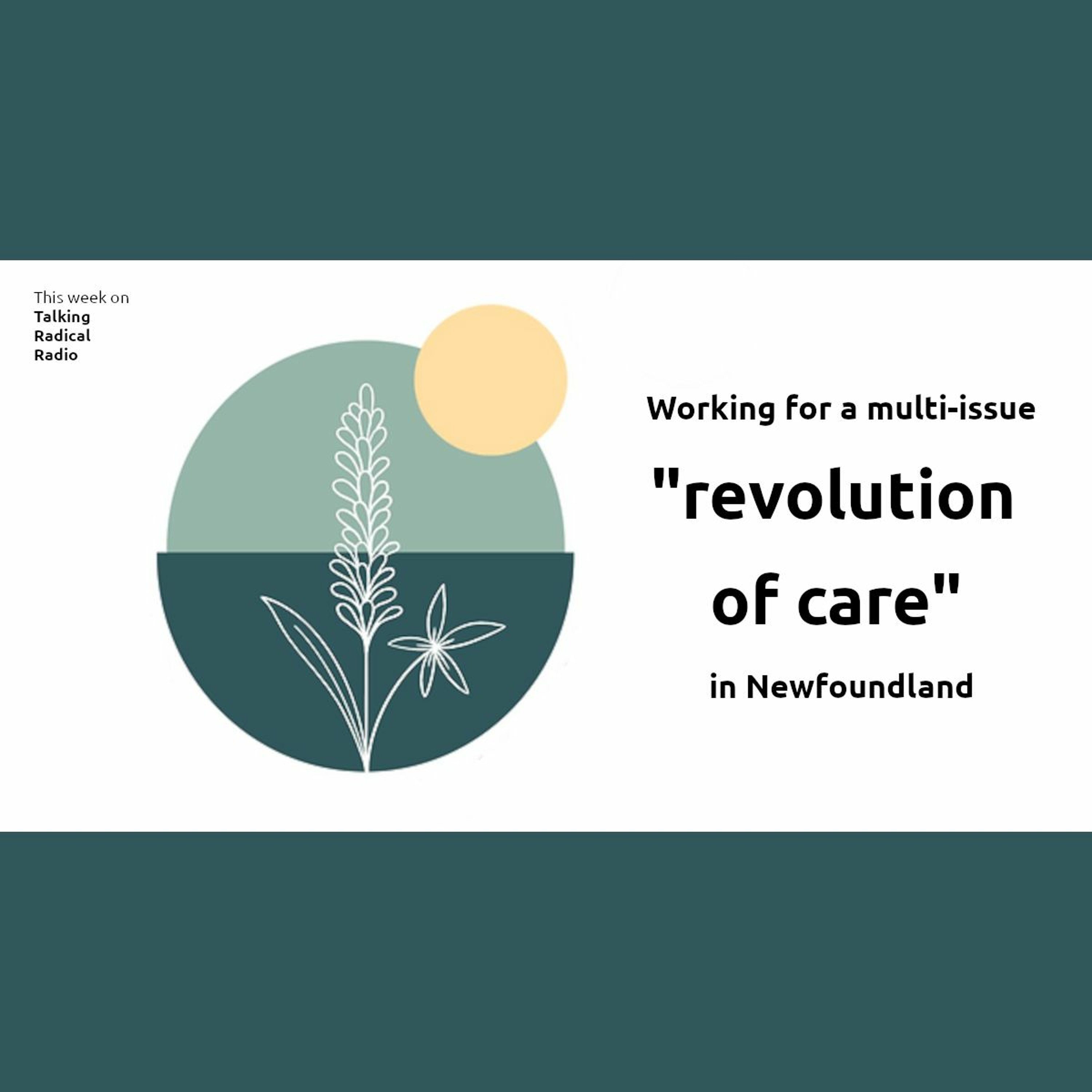 Working for a multi-issue "revolution of care" in Newfoundland