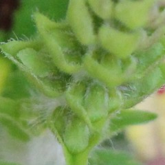 Slow Down To Catch Up.MP3