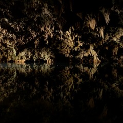 Cave sounds - Bats in the cenote
