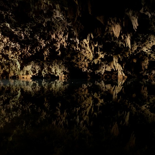 Cave sounds - Bats in the cenote