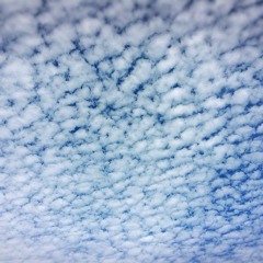 Looking Up At The Sky In October