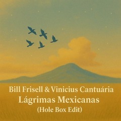 Free DL : Bill Frisell & Vinicius Cantuária - Lágrimas Mexicanas (Hole Box Edit)