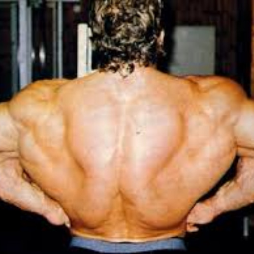 dorian yates x going quietly