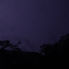 Waiting Out The Storm