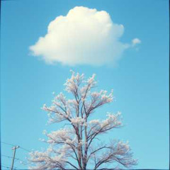 I can't do it without you #3