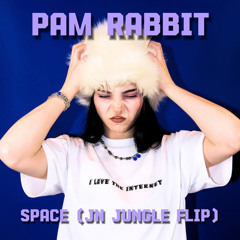 PAM RABBIT - SPACE ( JN JUNGLE FLIP )